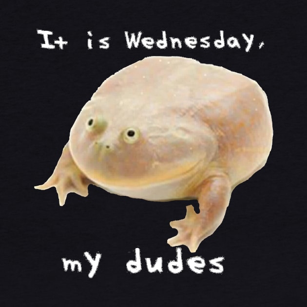 It is Wednesday my Dudes by swiftscuba